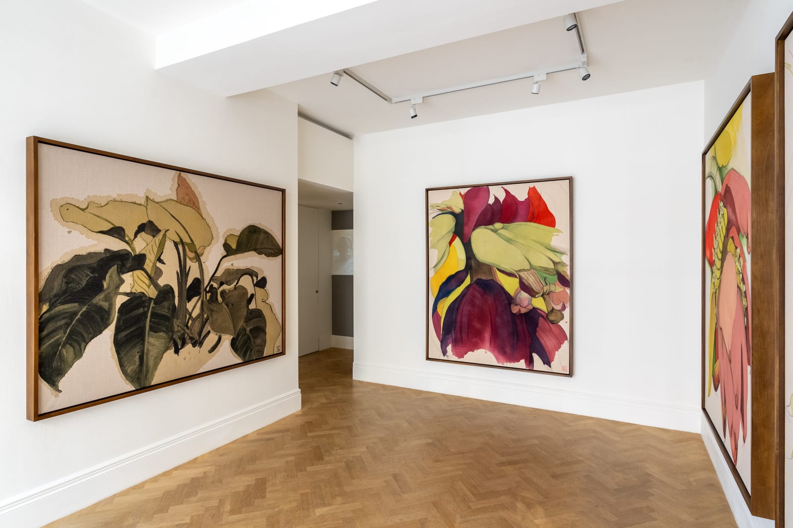 Sarah Graham, Musa acuminata (canvas) VI, 2025