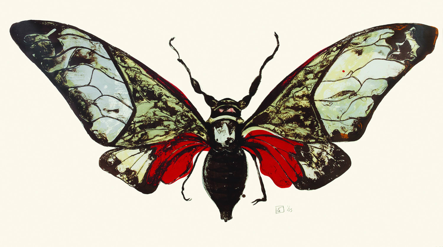 Sarah Graham, Salvazana Imperialis (Colour), 2012