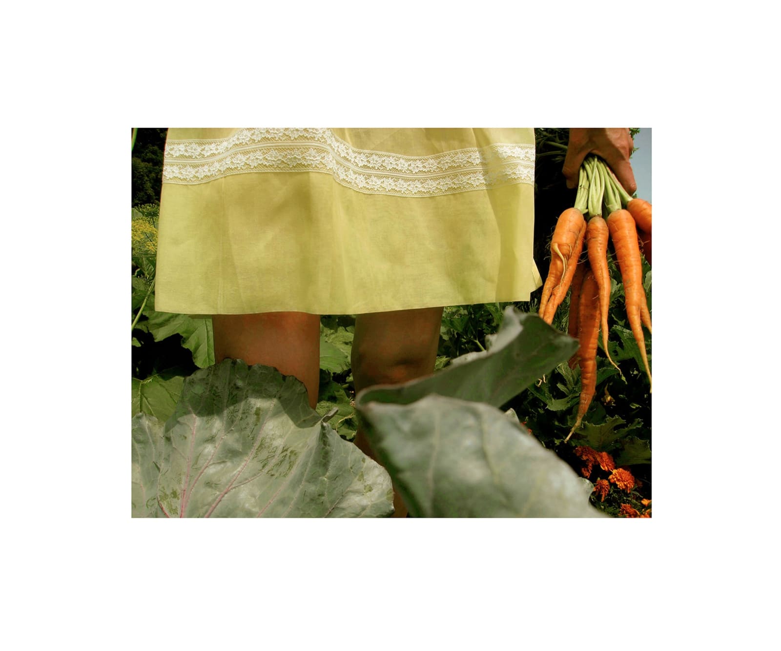 Georgie Hopton, A Bunch of Rodelika , 2008