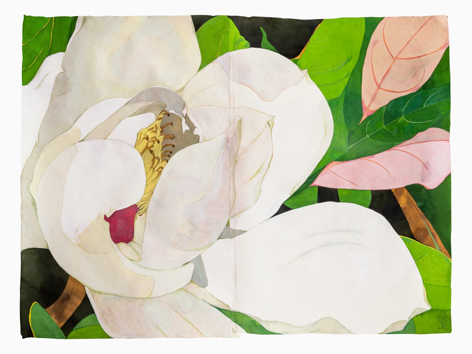 Sarah Graham, Magnolia grandiflora I, 2021