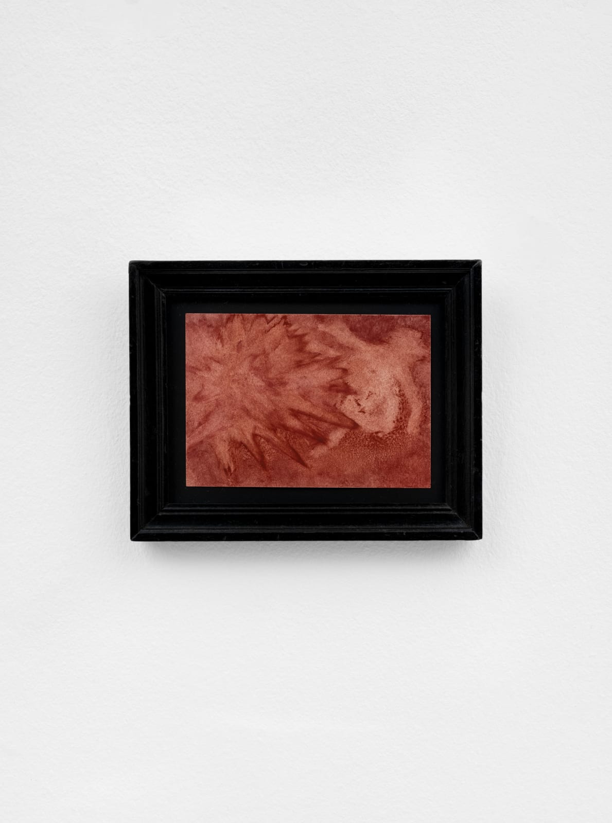 Anne-Laure Zevi, Untitled, 2022