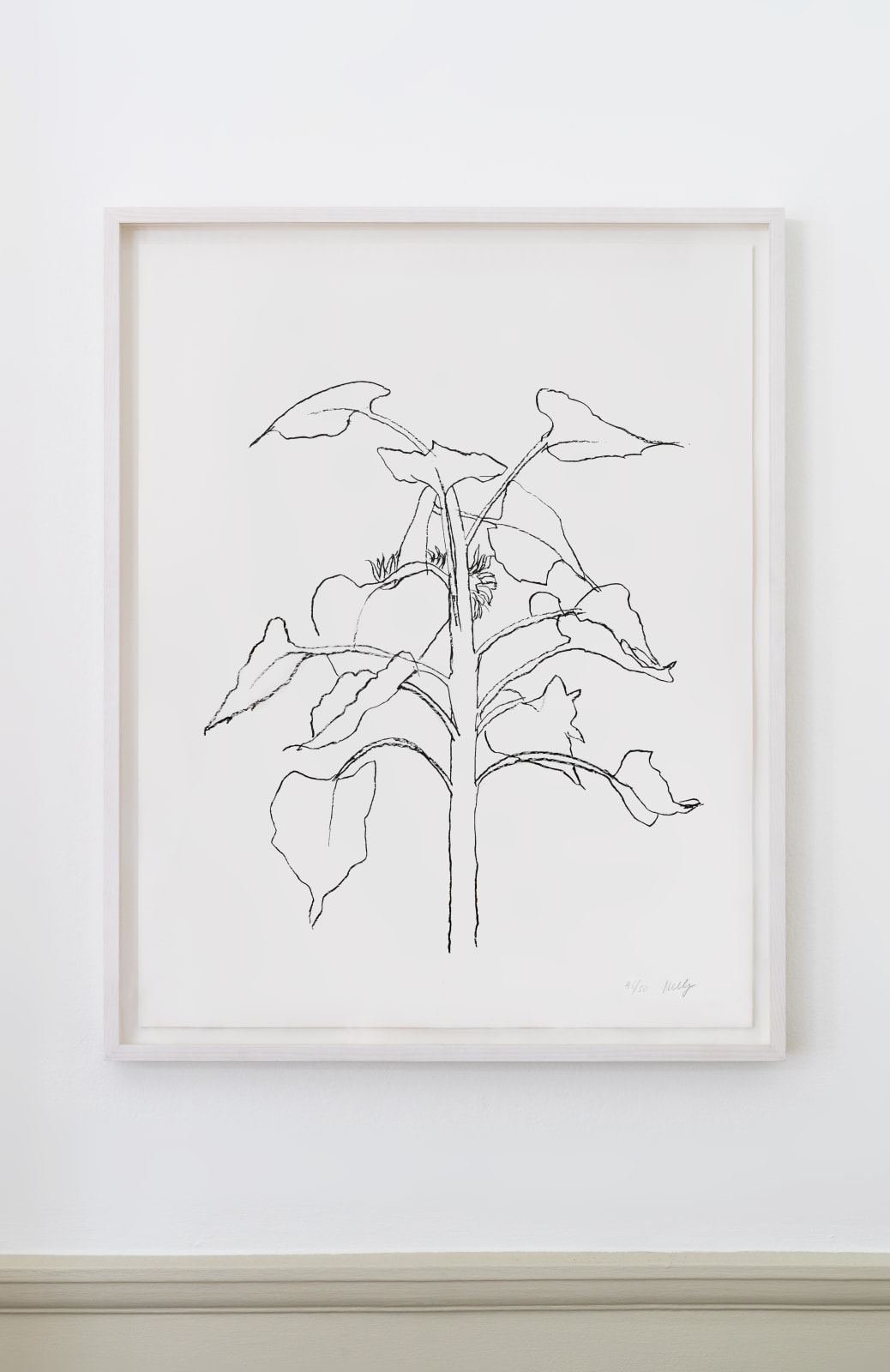 Ellsworth Kelly, Sunflower I, 2004
