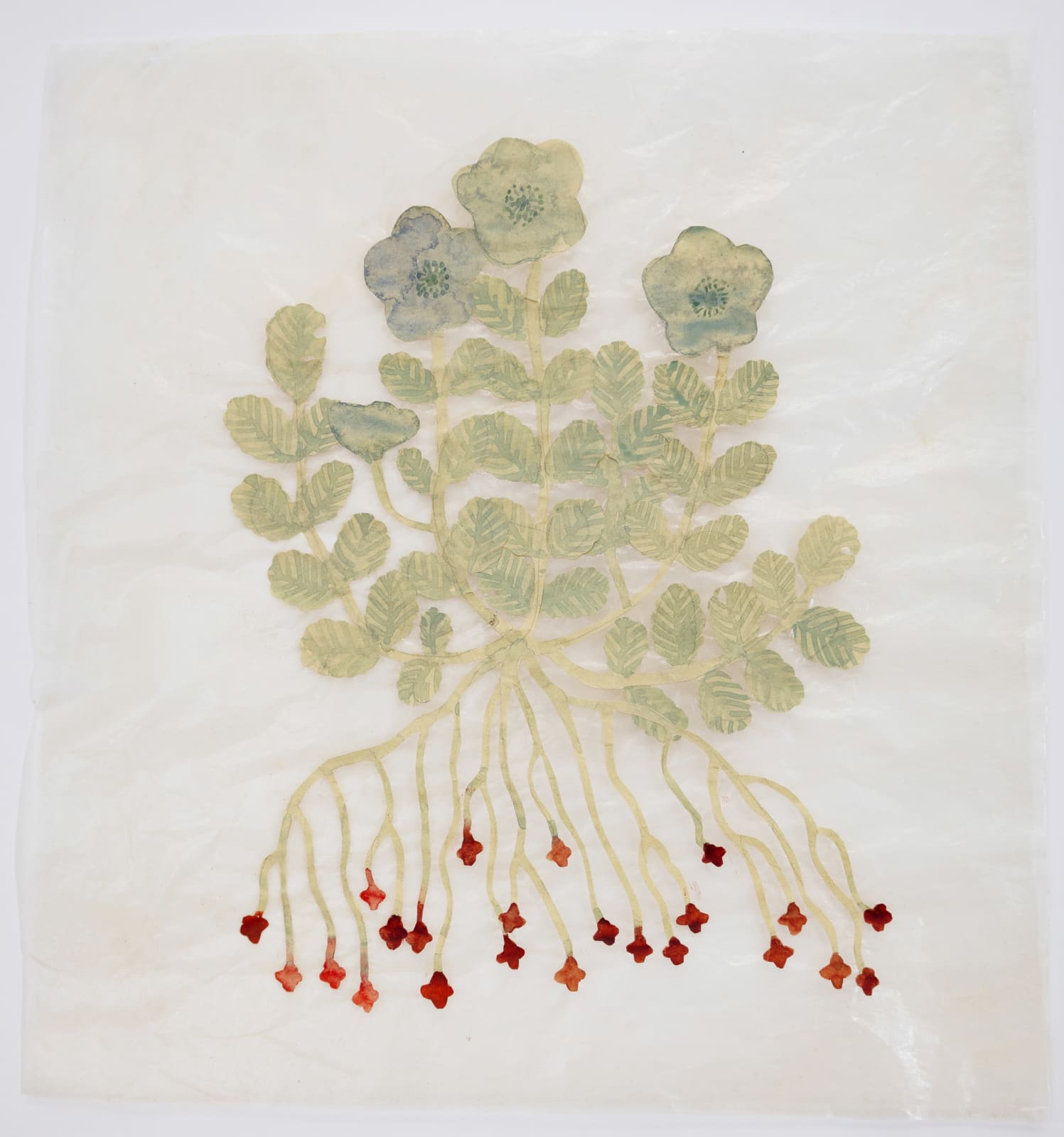 Fumi Imamura, One flower (花ひとつ), 2024