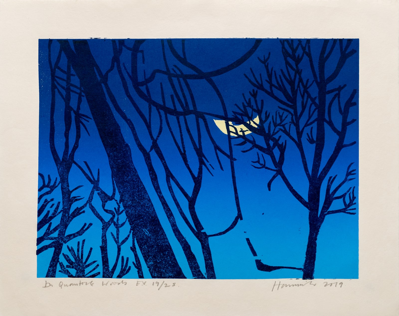 Tom Hammick, In Quantock Woods, 2019
