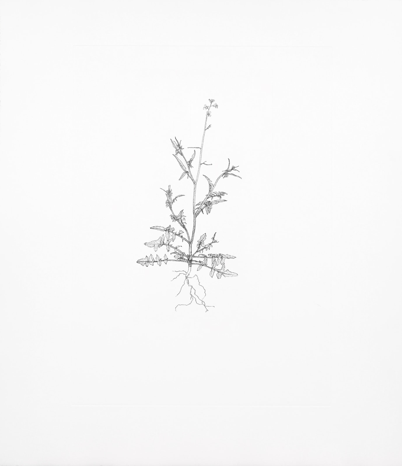 Michael Landy, Annual Wall Rocket, 2002