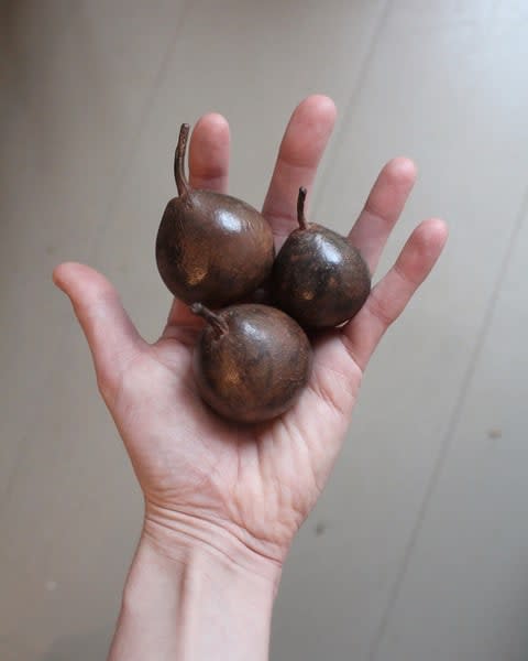 Alice-Andrea Ewing, Doyenne d’Ete Pears, 2022