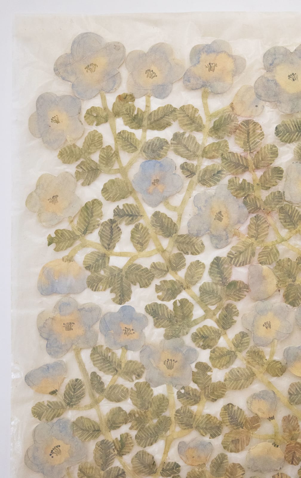 Fumi Imamura, One light blue flower (みずいろのお花ひと つ), 2024