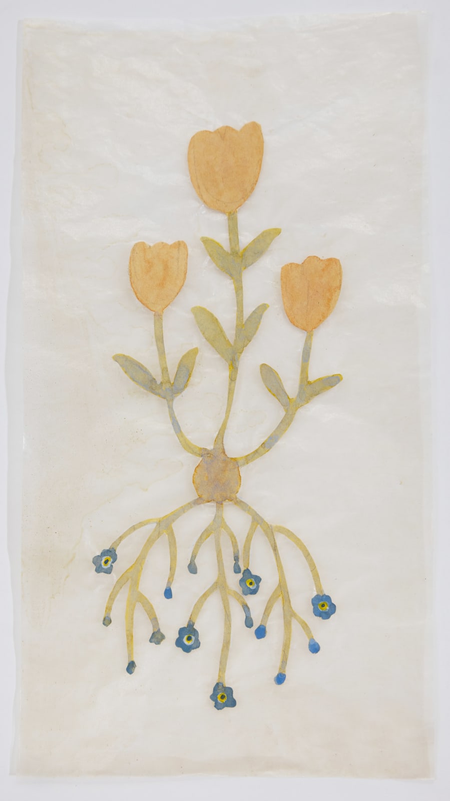 Fumi Imamura, One flower (花ひとつ), 2024