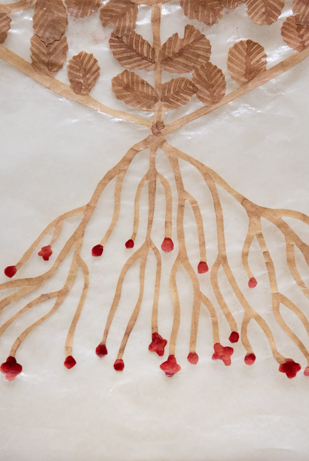 Fumi Imamura, Wild rose keman (野ばら華鬘), 2025
