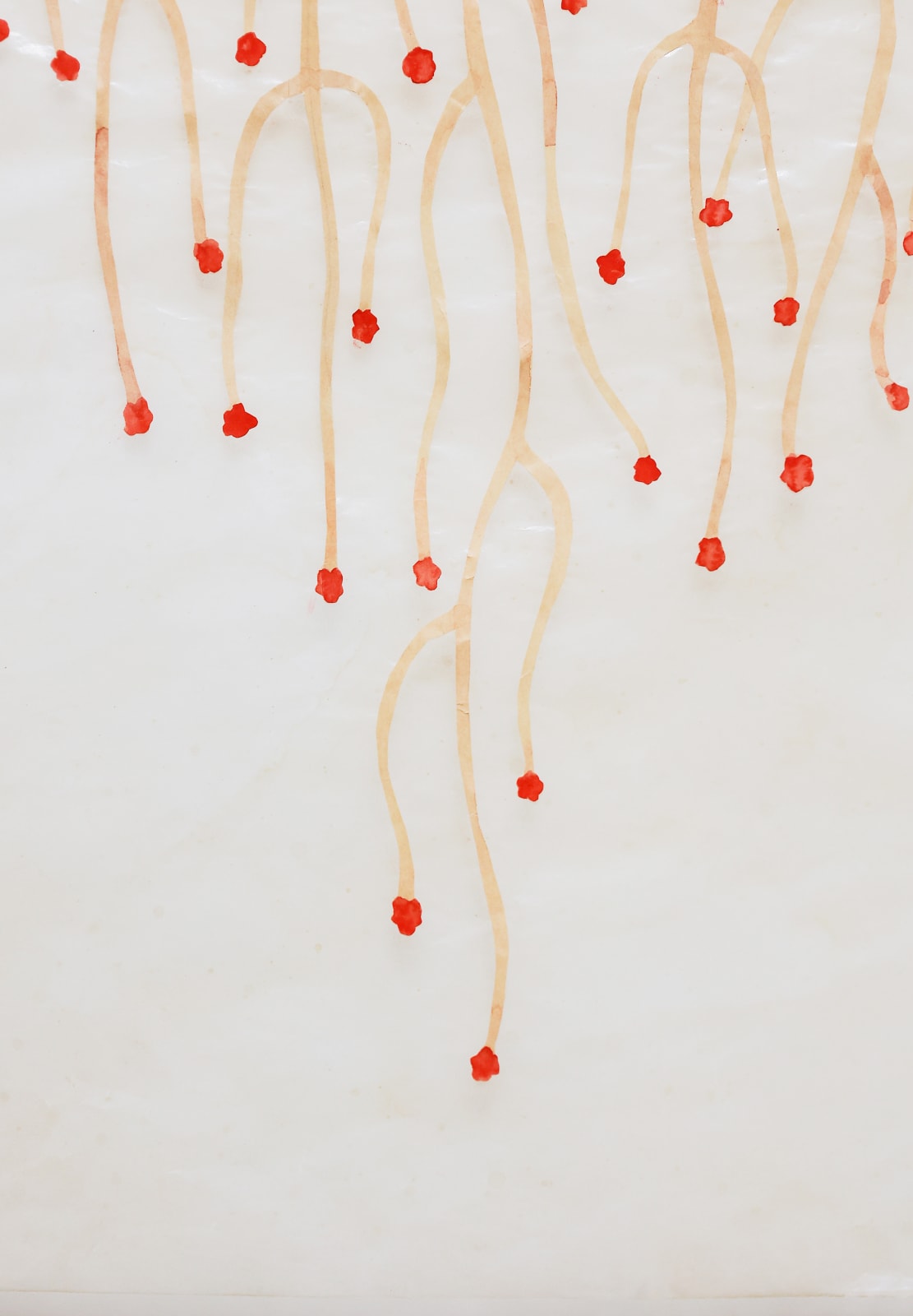 Fumi Imamura, One Flower (yellow chrysanthemum) (花ひとつ(黄菊)), 2023
