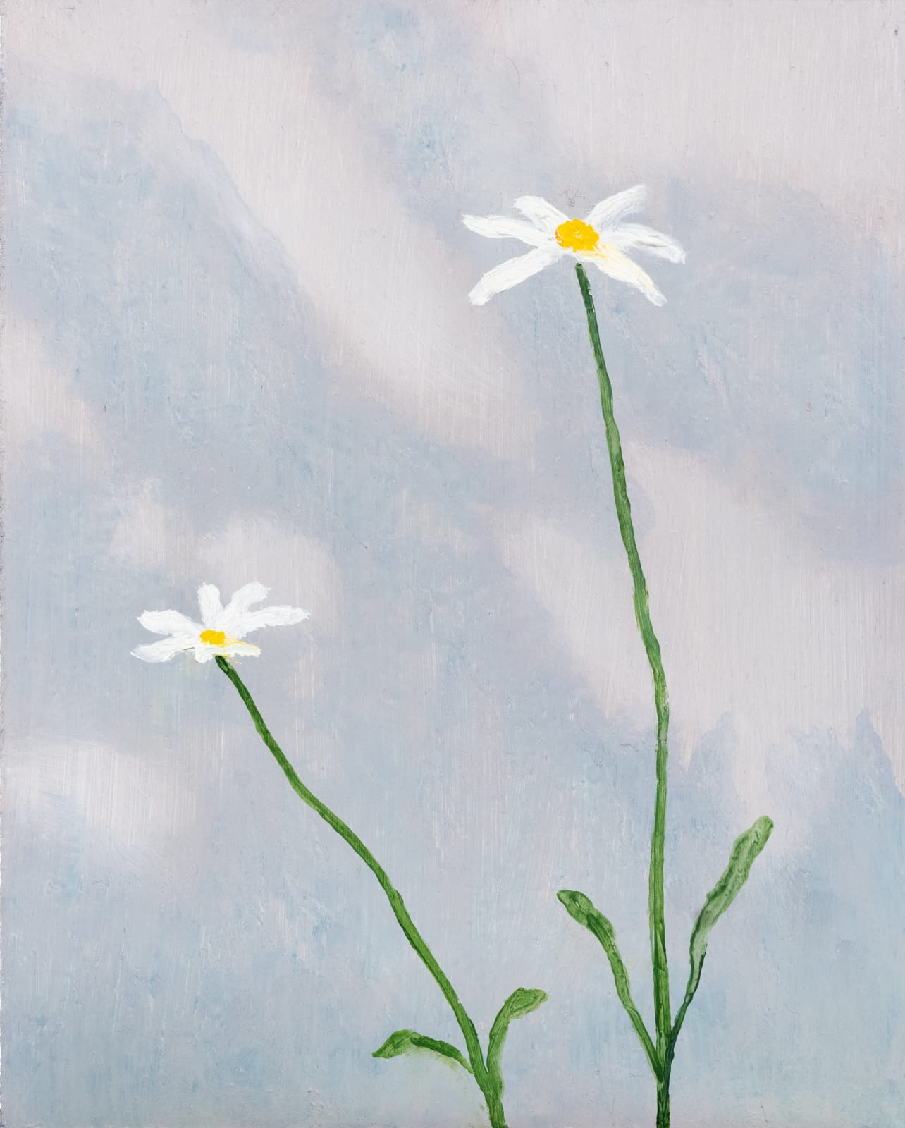 Suzy Murphy, We Are Put On Earth A Little Space, 2025