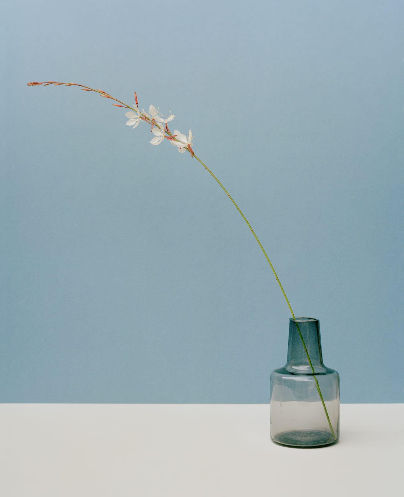 Kate Friend, Kulapat Yantrasast, Beeblossom, Los Angeles, 2022