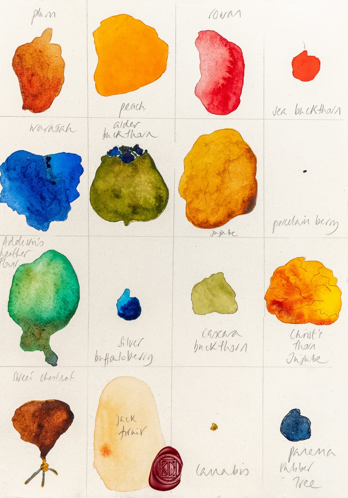 Kate Daudy, If someone comes along and asks 'Why?', there are answers XVII, 2024