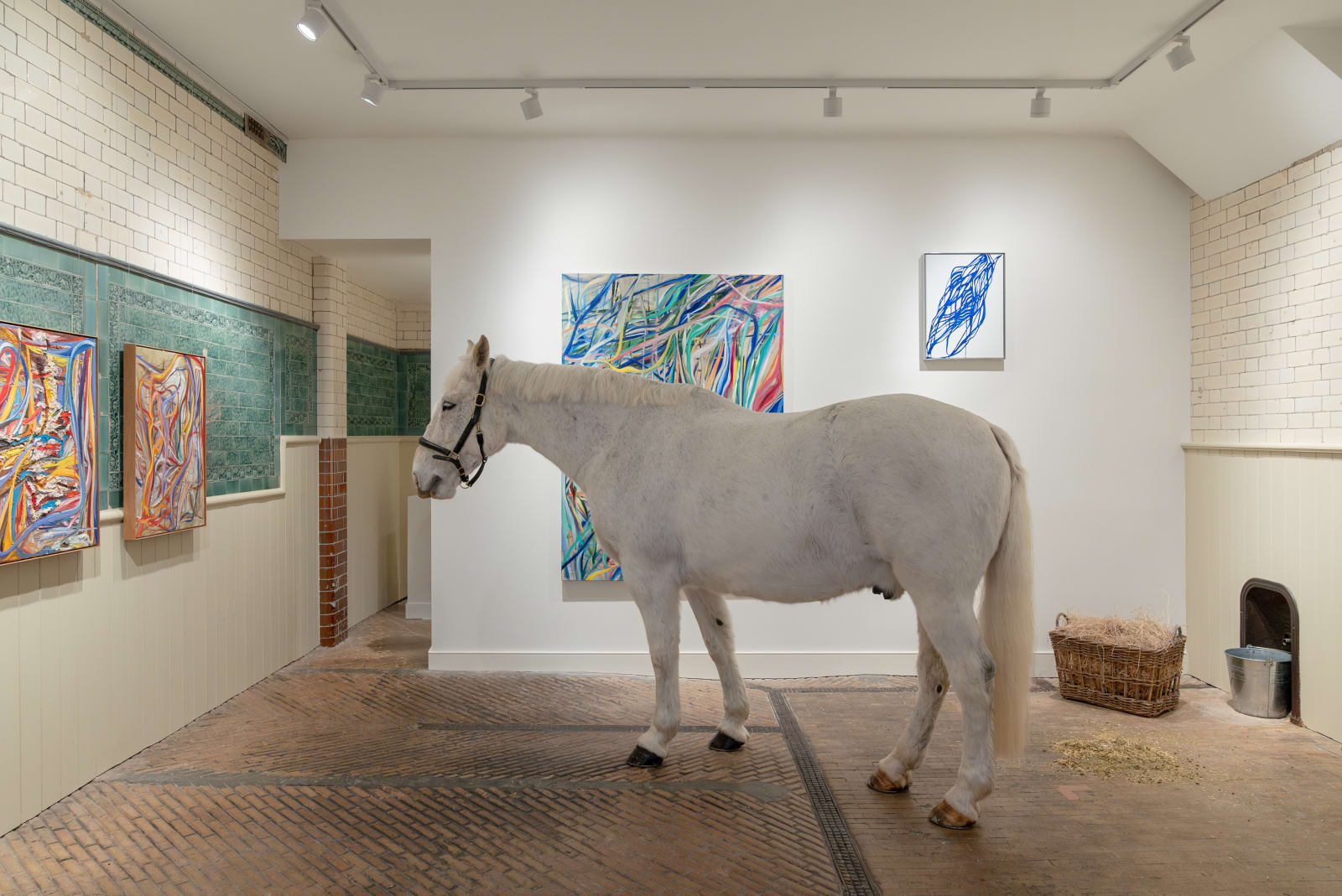 Tanya Ling, Clipsham La Habana, 2024
