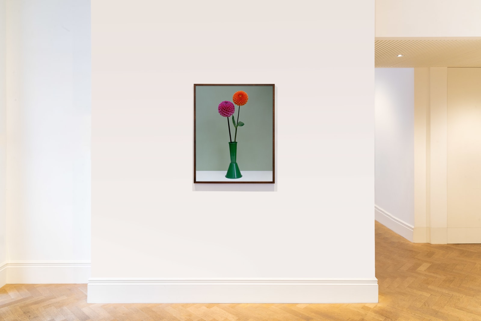 Kate Friend, Charlie McCormick, Dahlia, Dorset, 2020