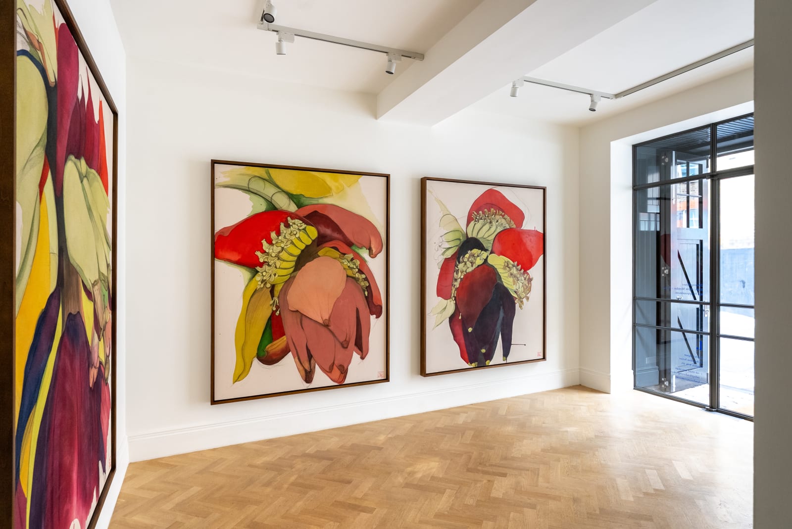 Sarah Graham, Musa acuminata (canvas) III, 2025