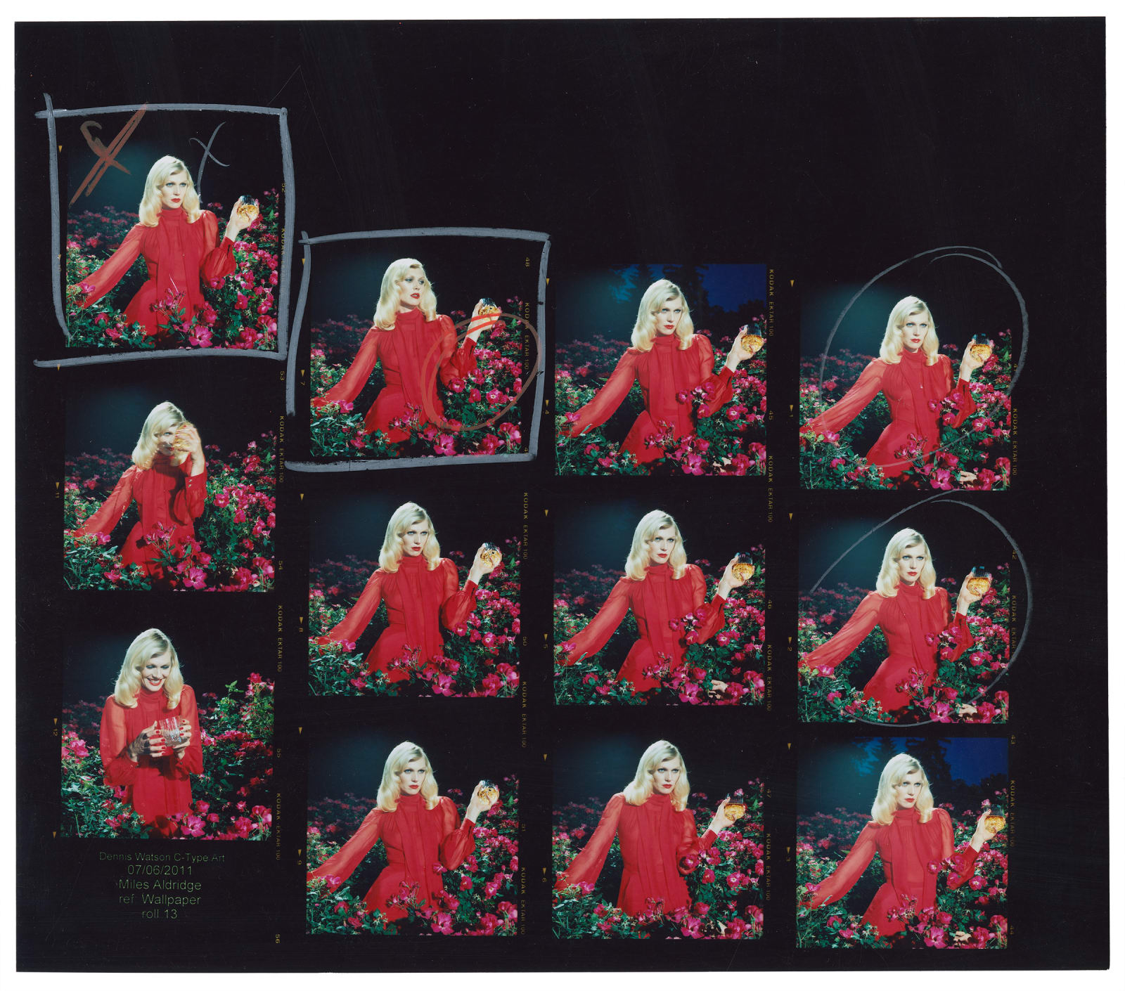 Miles Aldridge, The Rooms - roll 13, 2011