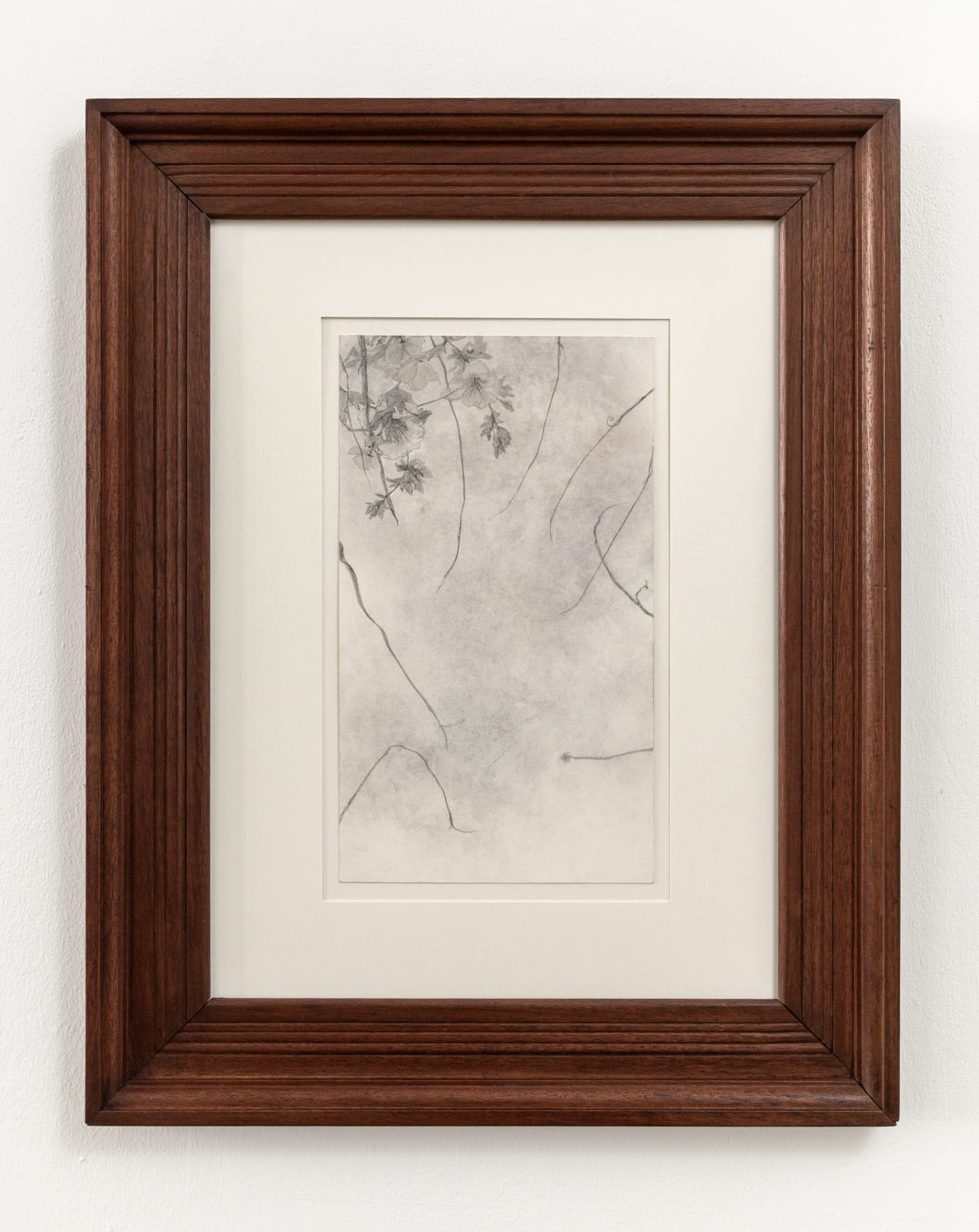 Anne-Laure Zevi, Untitled, 2025