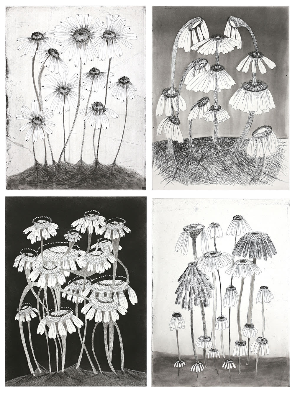 Kiki Smith, Variety Flowers, 2014
