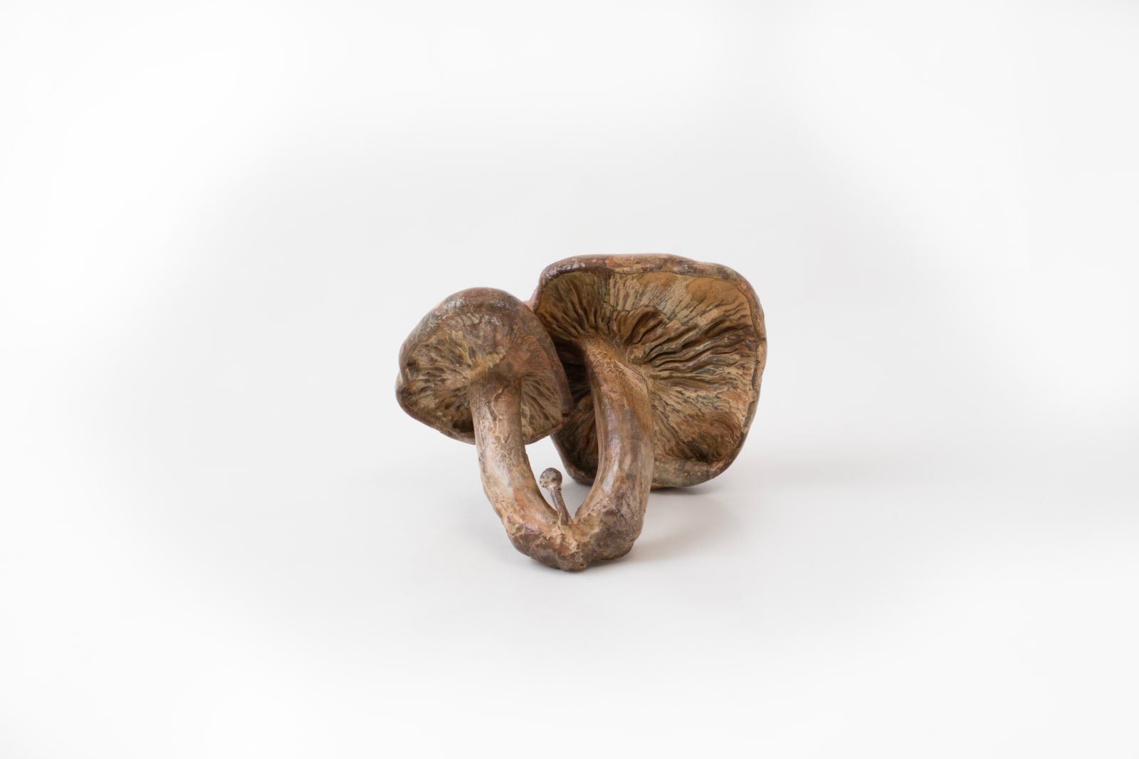 Alice-Andrea Ewing, Double Stemmed St. George's Mushroom, 2022