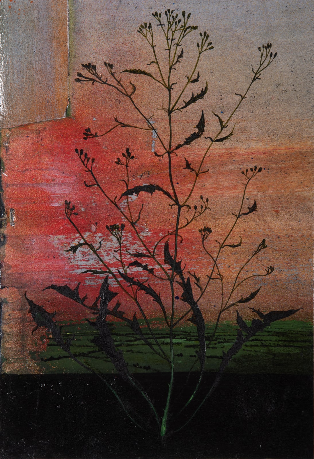 Michael Canning, Untitled Study, 2019