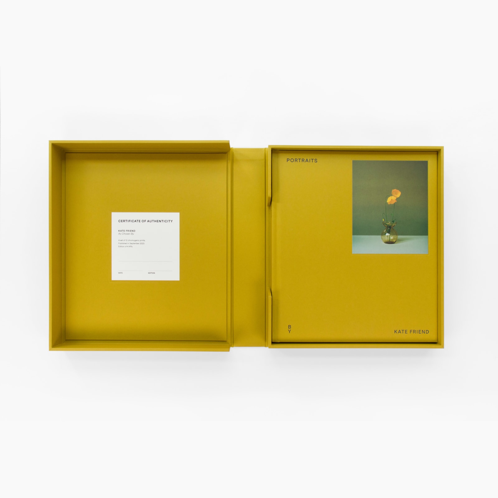 Kate Friend, Portraits, As Chosen By..., 2023