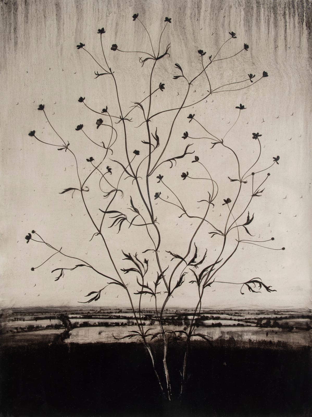 Michael Canning, Difficult Loves (for I.C.) IV, 2015-18