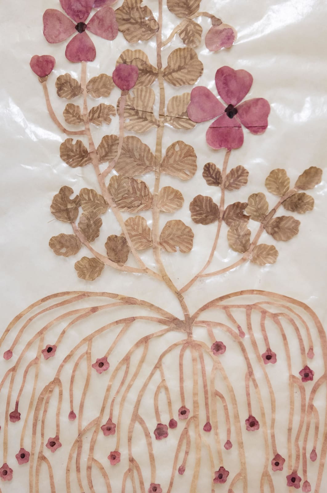 Fumi Imamura, One flower, fruiting (Sweet rocket) (花ひとつ、結実(む らさきなずな, 2025