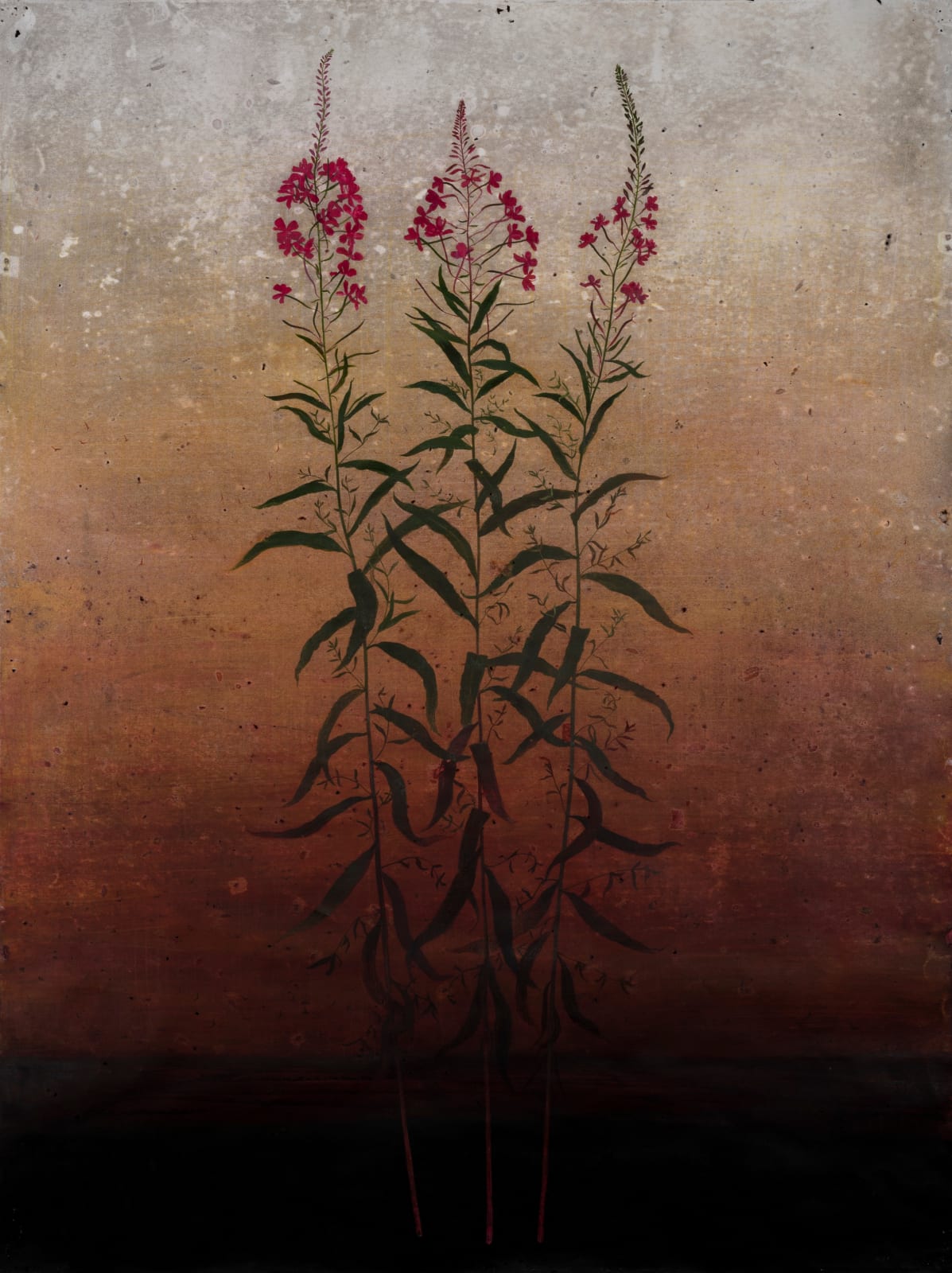 Michael Canning, Orison, 2019-2022