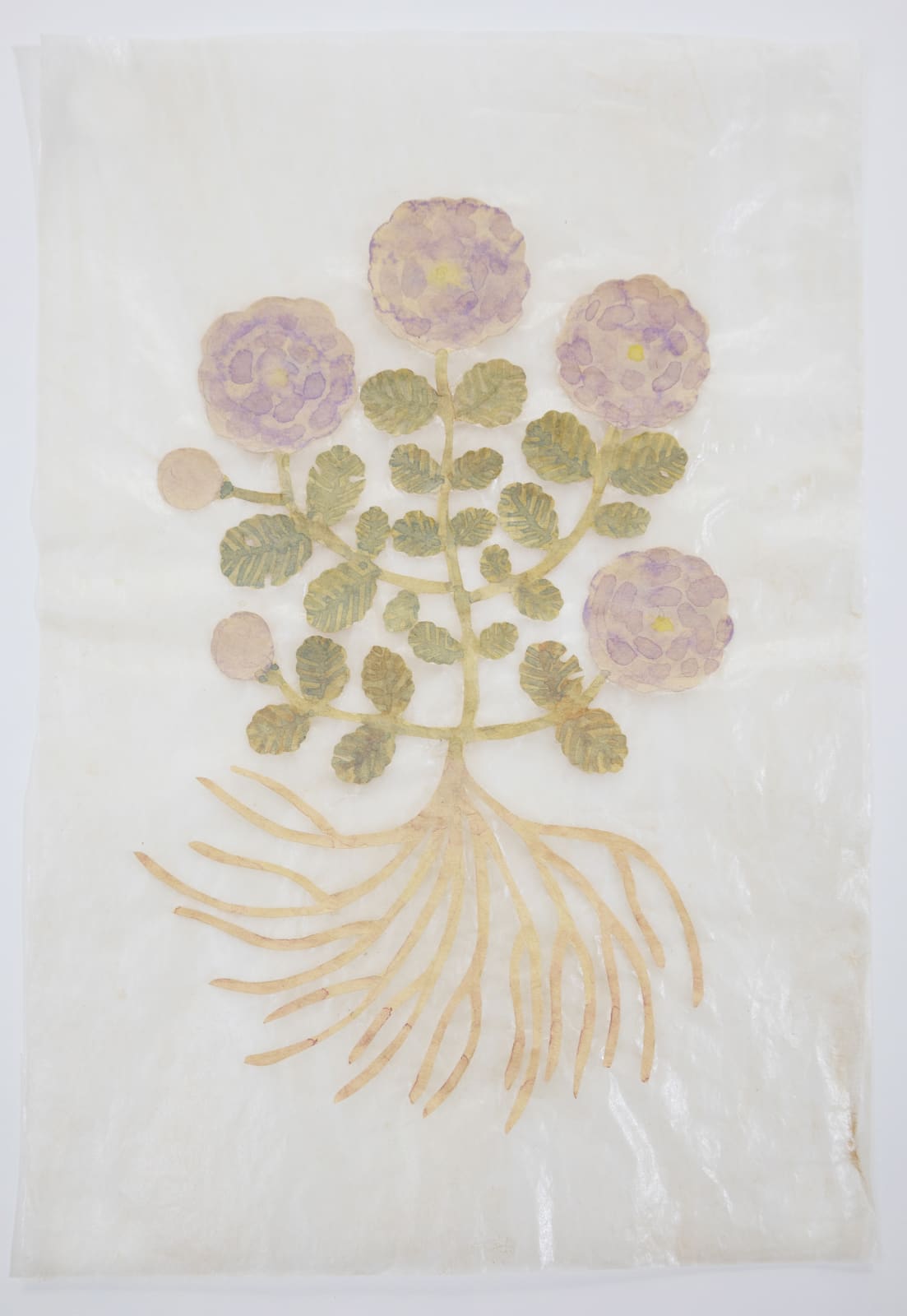 Fumi Imamura, One flower (花ひとつ), 2024