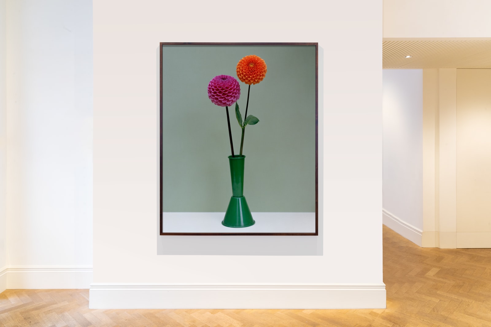 Kate Friend, Charlie McCormick, Dahlia, Dorset, 2020