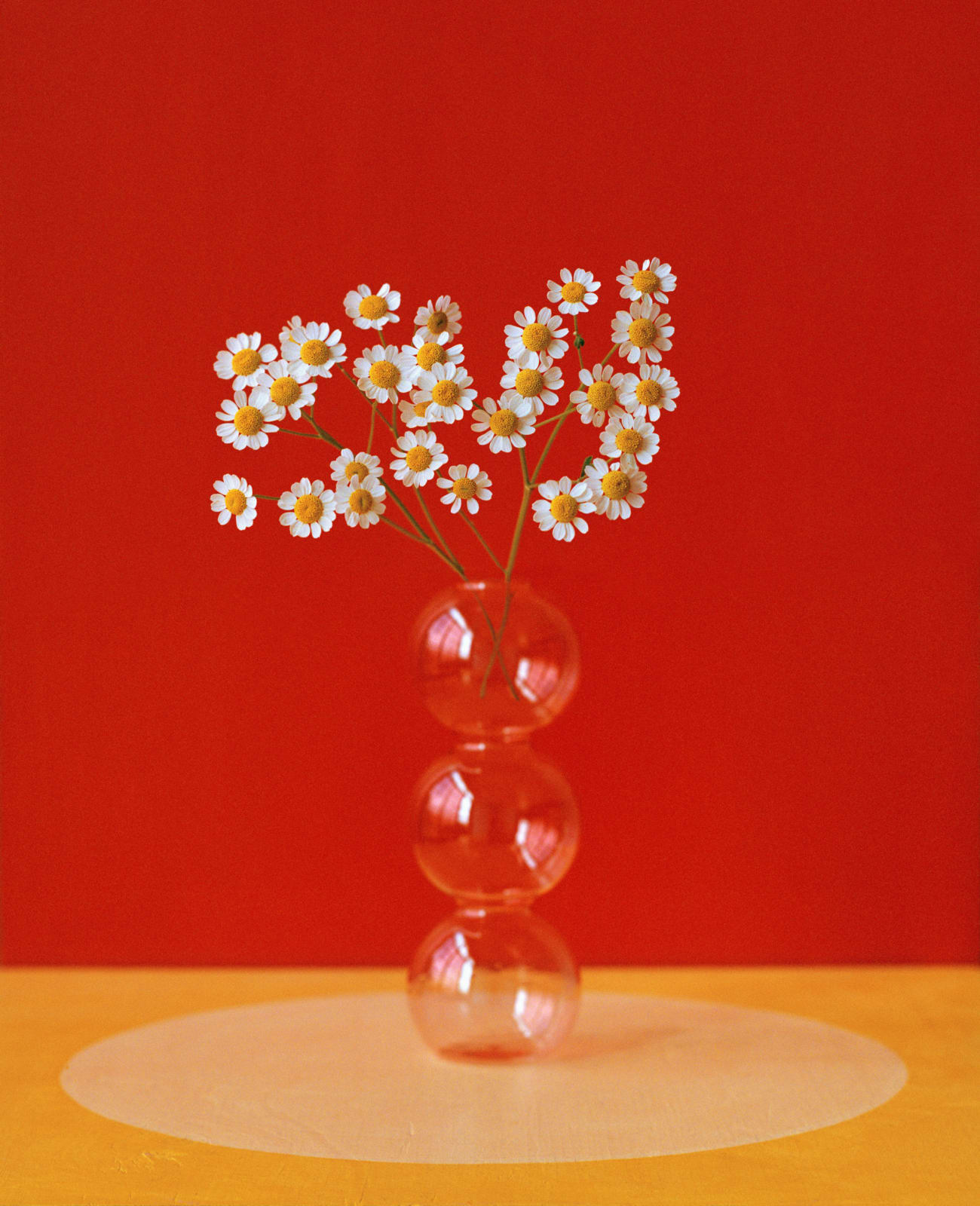 Kate Friend, Yinka Ilori, Daisy, North London, 2022