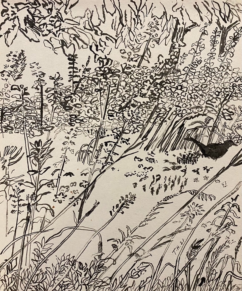 Tom Hammick, Blackbird, 2021