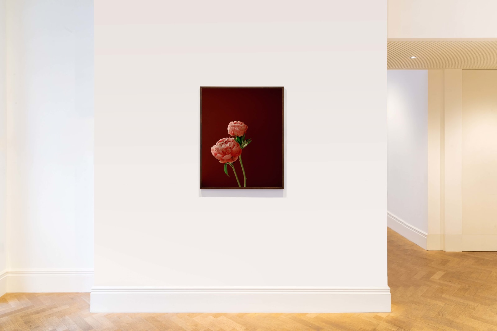 Kate Friend, Molly Goddard, Peony, East London, 2019