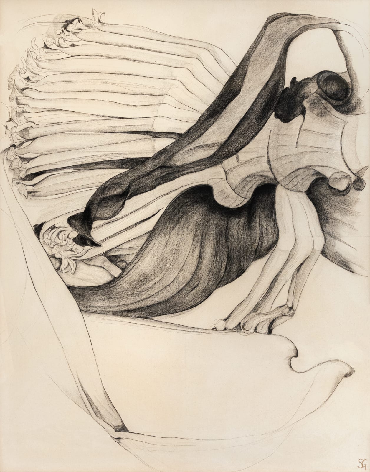 Sarah Graham, Musa acuminata (canvas) VIII - Diptych, 2025