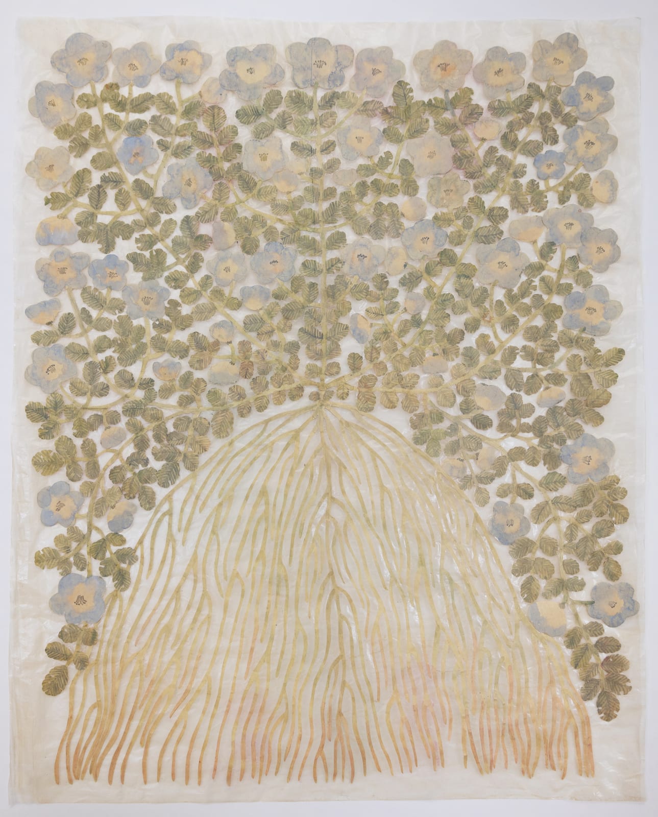 Fumi Imamura, One light blue flower (みずいろのお花ひと つ), 2024