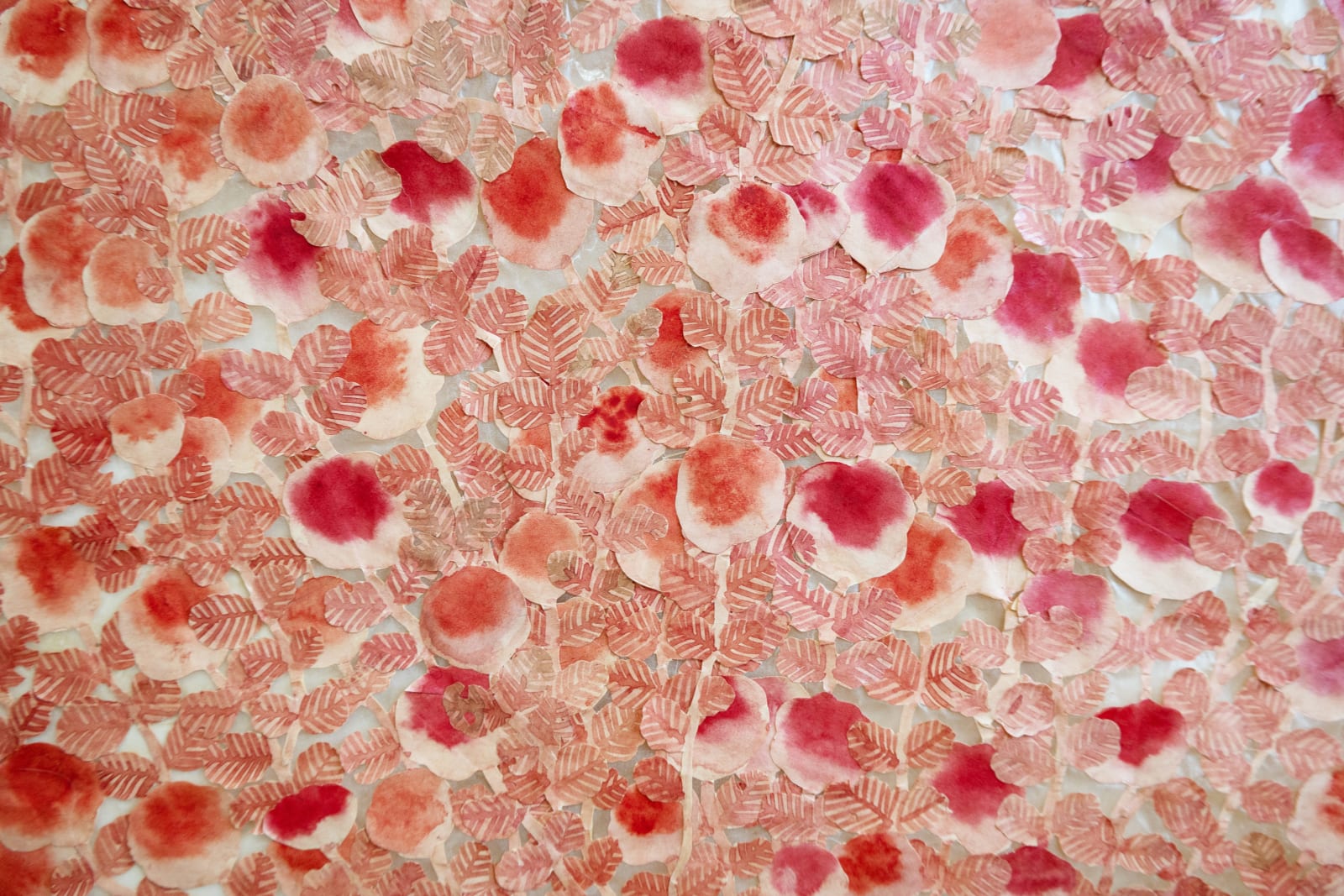 Fumi Imamura, Two Flowers (Two Roses, Heart Shape), 2024