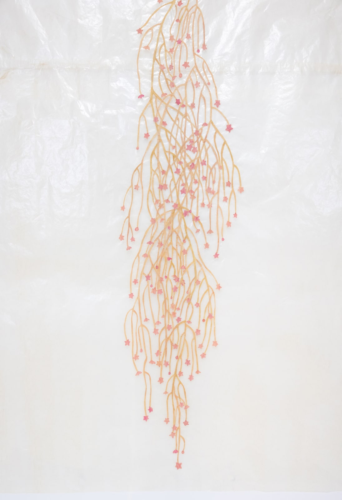 Fumi Imamura, Two flowers (pink flowers, heart shape) (花ふたつ(ももいろ のお花、ハート型) 仮), 2025