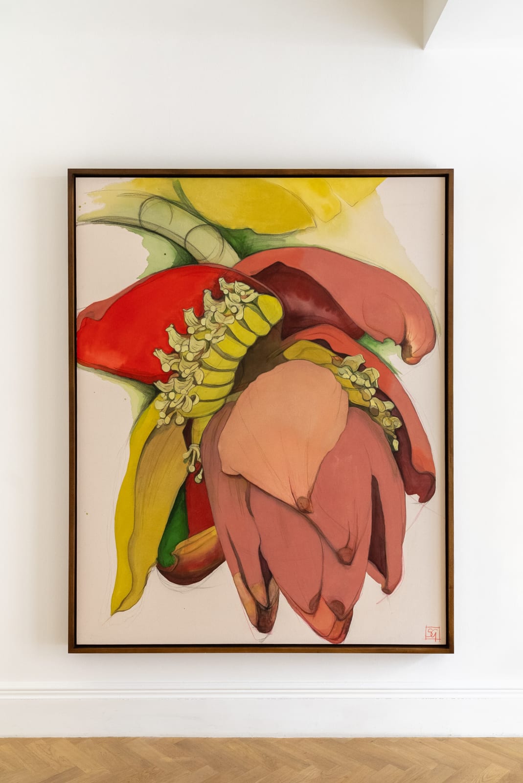 Sarah Graham, Musa acuminata (canvas) III, 2025