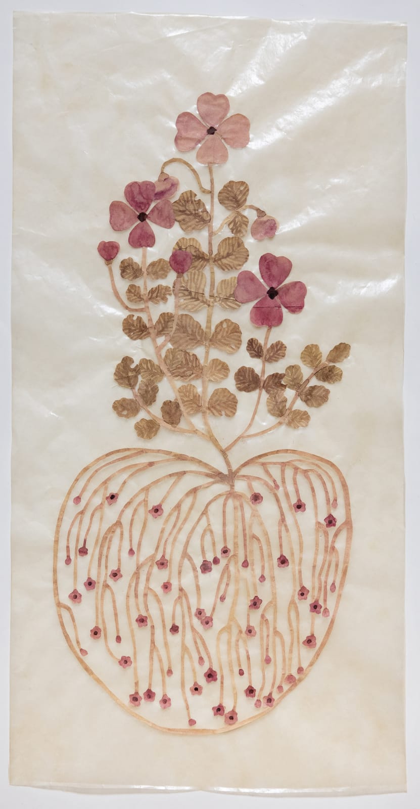 Fumi Imamura, One flower, fruiting (Sweet rocket) (花ひとつ、結実(む らさきなずな, 2025