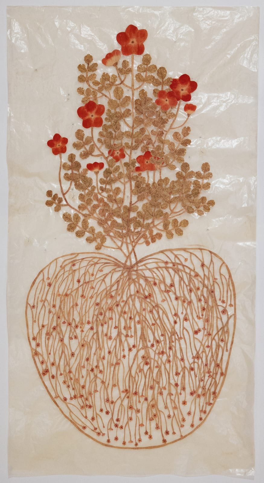 Fumi Imamura, Three red flowers, fruiting (赤い花みっつ, 結実), 2025