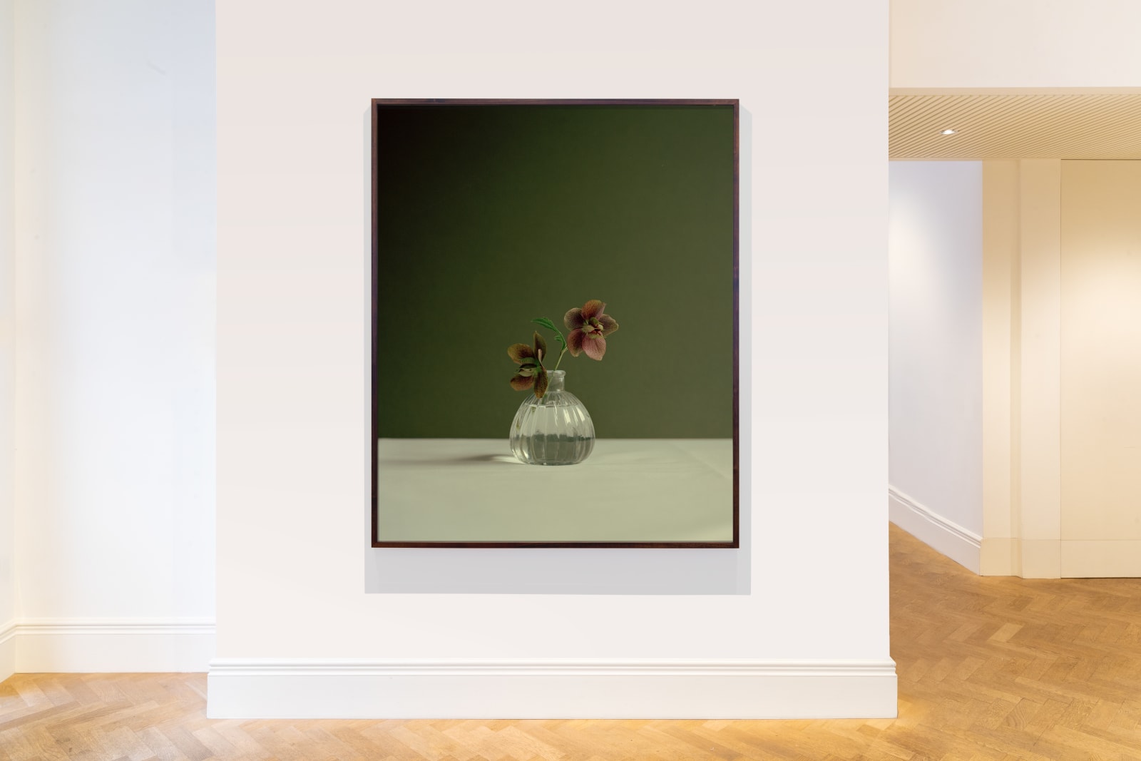 Kate Friend, Jeremy Lee, Hellebore, Quo Vadis, London, 2020
