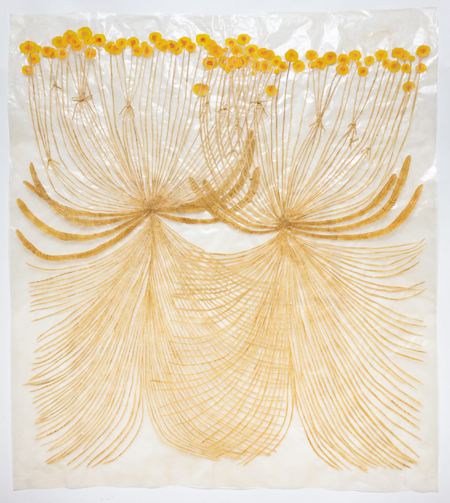 Fumi Imamura, Two tied flowers (yellow flower) (結ばれた花ふたつ(き いろいお花)), 2025