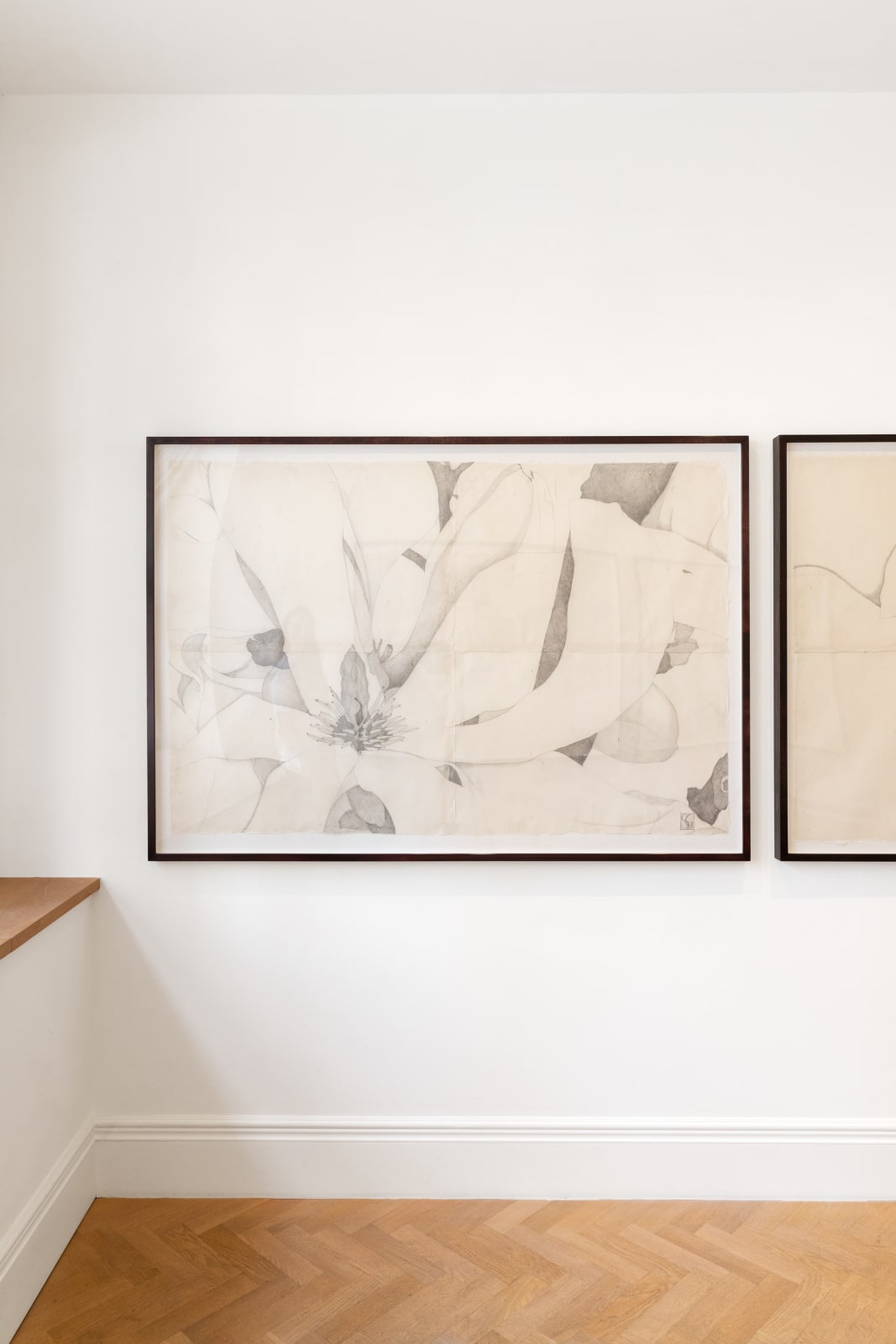 Sarah Graham, Magnolia soulangeana IV, 2022