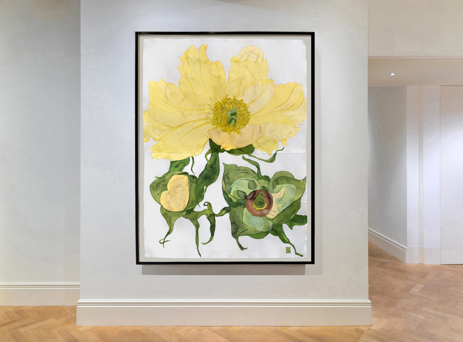 Sarah Graham, Paeonia lutea var. ludlowii I, 2019