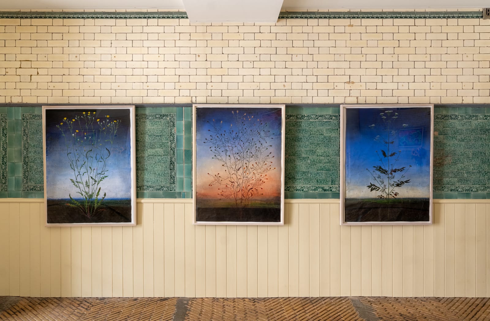 Michael Canning, Beginnings of a Disappearance, 2016-2022