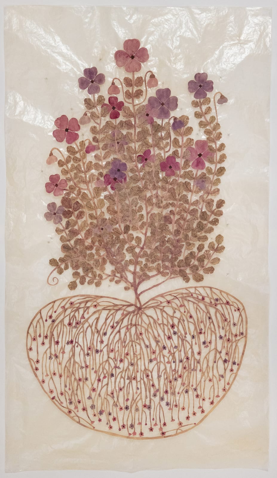 Fumi Imamura, Two purple flowers, fruiting (むらさきの花ふた つ、結実), 2025