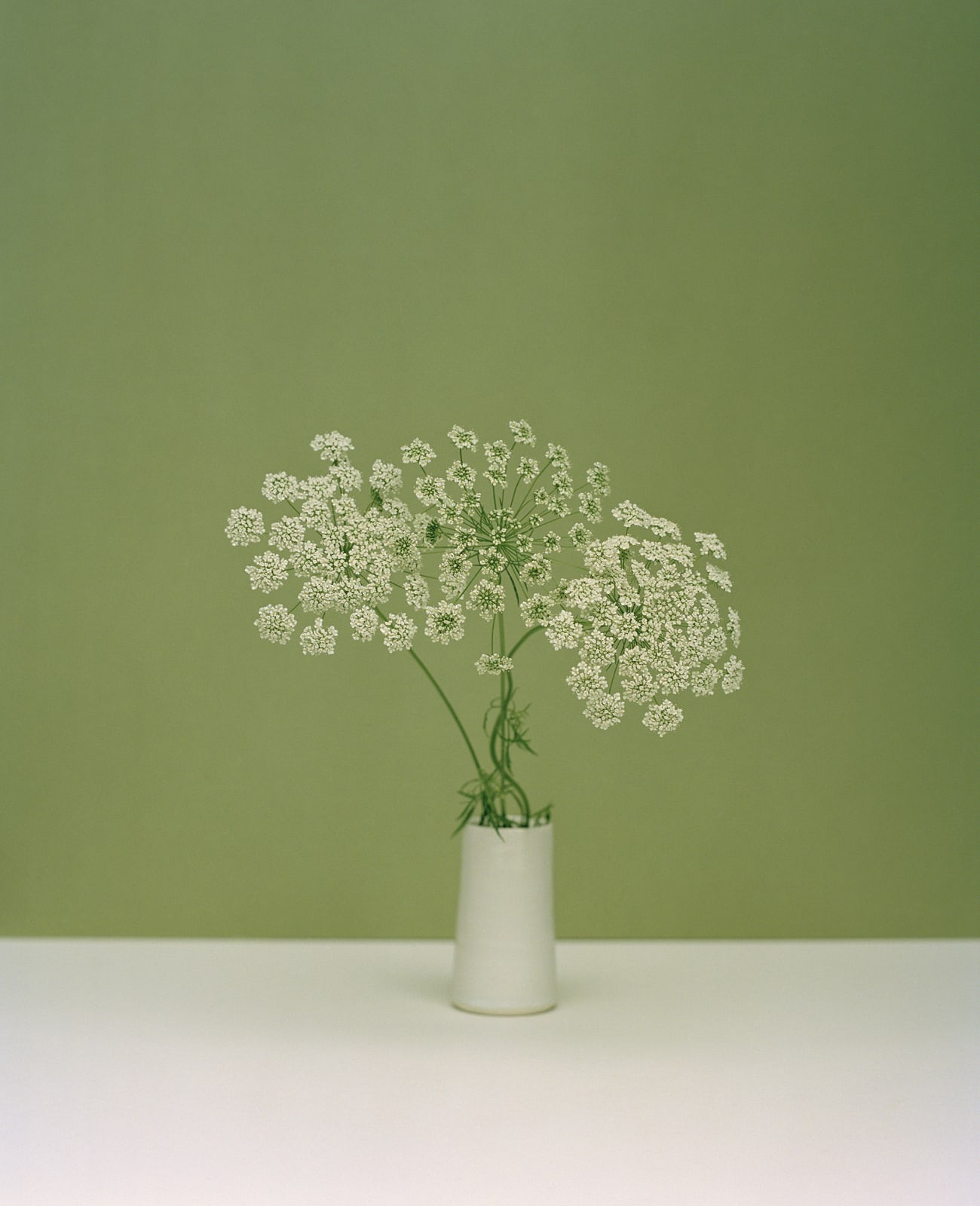 Kate Friend, Amanda Harlech, Bishop's Flower, Shropshire, 2020