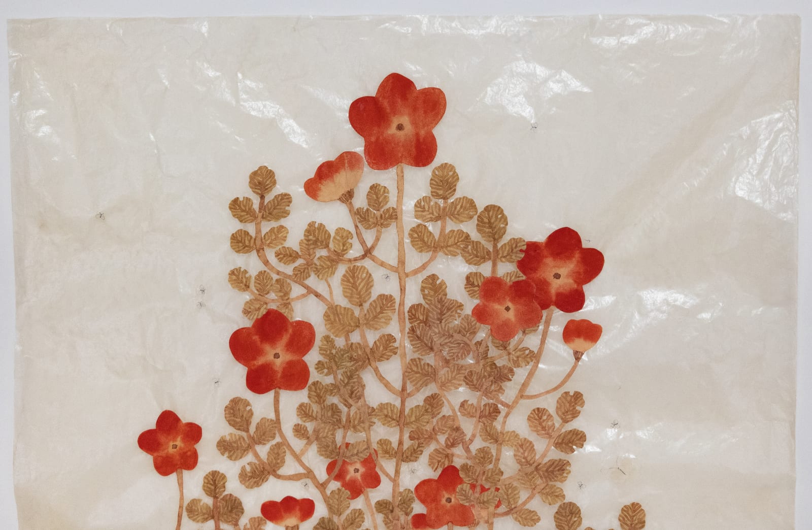 Fumi Imamura, Three red flowers, fruiting (赤い花みっつ, 結実), 2025