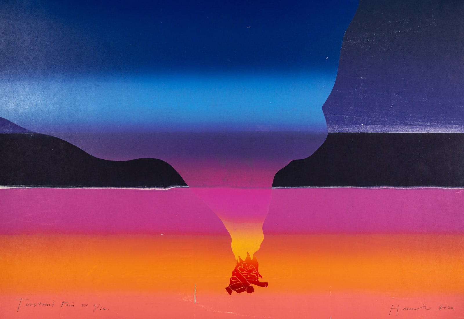 Tom Hammick, Tristan's Fire, 2020